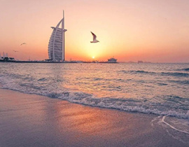 Real Estate Investment Webinar | Well-paid Market in Dubai