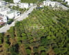 Działka Inwestycyjna Z Planem Zagospodarowania W Bodrum Muğla 2
