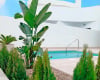 Lujosas Villas Pareadas En Torrevieja Costa Blanca 3