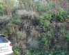Plot with Construction Permit and Title Deed in Arsin Trabzon 2