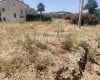 Stor Mark Med Bostadsområde I Ovacık, Fethiye, Ölüdeniz 5