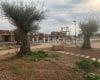 Elegantes Villas Cerca Del Campo De Golf En Roldán Murcia 4