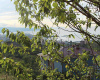 Plot with Construction Permit and Title Deed in Arsin Trabzon