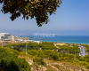 Apartments Close to the Beach in Arenales Del Sol Alicante 4