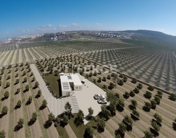 Luxury Villas Close to La Finca Golf Resort in Algorfa 12
