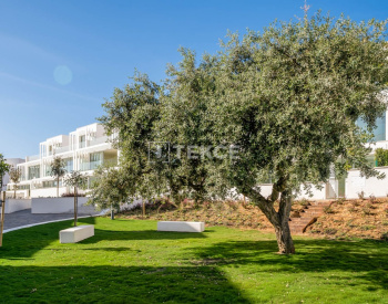 Special-design and Well-located Houses in Cádiz Andalucia 11