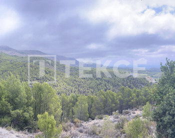Działka Mieszkalna O Powierzchni 7716 M² W Altea Costa Blanca 11