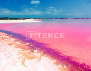 白色海岸托雷维耶哈（torrevieja）带泳池的独立别墅 7