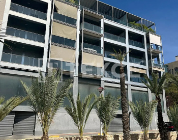 埃尔切（elche）市中心现代河景公寓 1