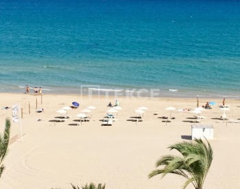 Strandnära Lägenhet Med Pool På Taket I San Juan 2