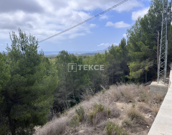 Działka Mieszkalna O Powierzchni 7716 M² W Altea Costa Blanca 4