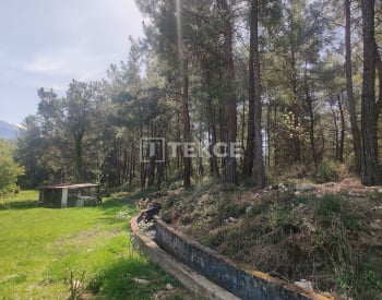 穆拉塞迪凯美尔（muğla Seydikemer）溪流和森林环绕的乡村别墅 8