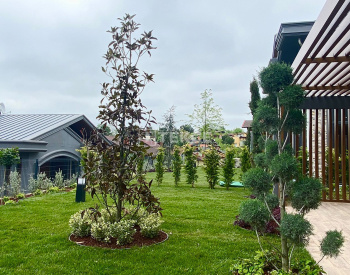 Casas En Proyecto Con Instalaciones Sociales En Sapanca Sakarya 9