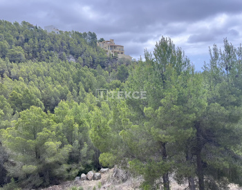 Działka Mieszkalna O Powierzchni 7716 M² W Altea Costa Blanca 5