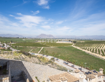 Moderne Golfvillen Mit Pool In La Finca Algorfa 22