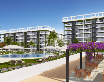 Stylish Apartments in La Mata Costa Blanca Nearby Amenities 3