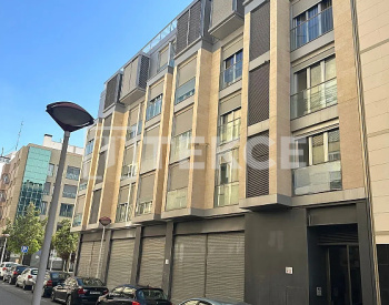 埃尔切（elche）市中心现代河景公寓 2