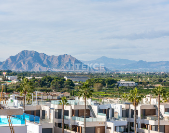 Villas Independientes Con Piscina Privada En Benijófar Alicante 15