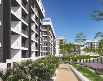 Stylish Apartments in La Mata Costa Blanca Nearby Amenities 4