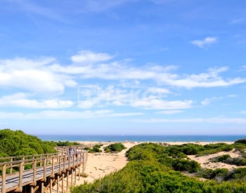 Verhuisklare Villa In Elche Alicante Costa Blanca 2
