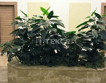 Apartments with Closed Swimming Pool in Istanbul Esenyurt 14