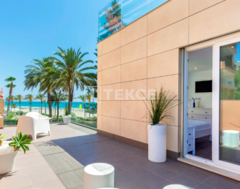 Appartment En Attique Avec Terrasse Sur Le Toit À Alicante 1