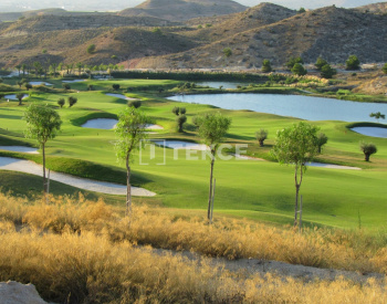 Golf View Apartments Near the Sea and City in Alicante 9