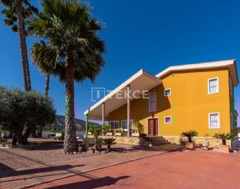 Mediterranean Style Detached Villa on a Large Plot in Orihuela 8