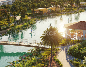 Elegant Townhouses with Installment Advantage in Dubai 5