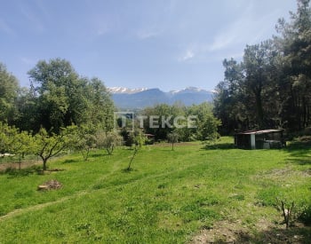 穆拉塞迪凯美尔（muğla Seydikemer）溪流和森林环绕的乡村别墅 10