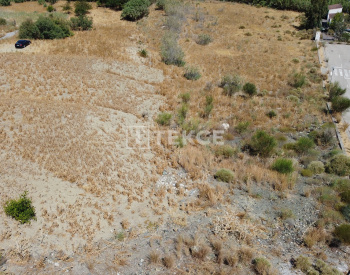 Parcela Rústica De Uso Agrario En Alhaurin El Grande Málaga 5