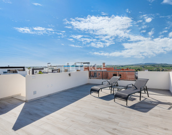 Villas Independientes Con Piscina Privada En Benijófar Alicante 10