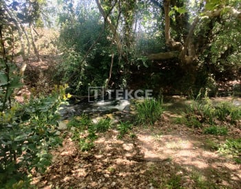穆拉塞迪凯美尔（muğla Seydikemer）溪流和森林环绕的乡村别墅 9