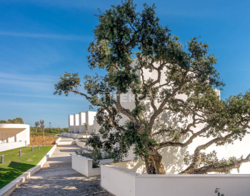 Special-design and Well-located Houses in Cádiz Andalucia 10