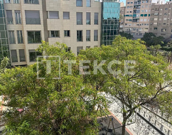 埃尔切（elche）市中心现代河景公寓 3