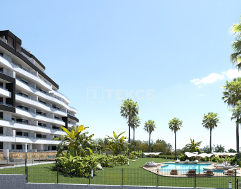 Nowoczesne Apartamenty Ze Wspólnym Basenem W San Miguel De Salinas 2