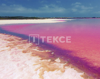 白色海岸托雷维耶哈（torrevieja）带泳池的独立别墅 8
