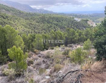 Działka Mieszkalna O Powierzchni 7716 M² W Altea Costa Blanca 8