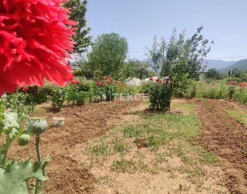Maison De Campagne Dans La Parcelle La Plus Précieuse De Fethiye 14
