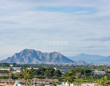 Villas Independientes Con Piscina Privada En Benijófar Alicante 14