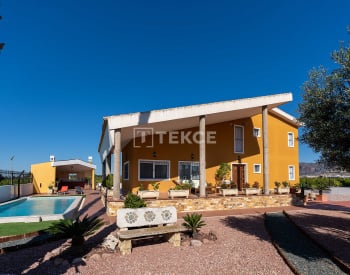 Mediterranean Style Detached Villa on a Large Plot in Orihuela 3