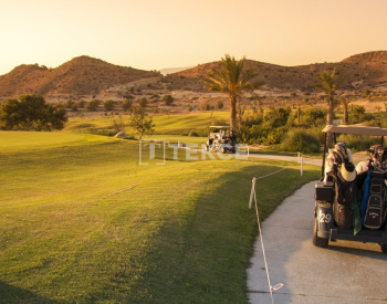 Golf View Apartments Near the Sea and City in Alicante 8