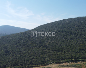 Luxury Detached Villas for Sale with Pool in Bodrum Torba 6