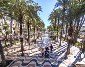 Verhuisklare Villa In Elche Alicante Costa Blanca 4