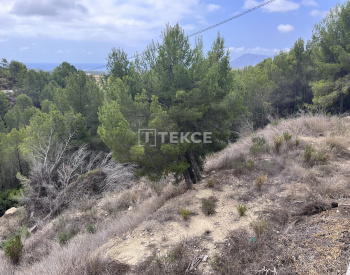 Działka Mieszkalna O Powierzchni 7716 M² W Altea Costa Blanca 3