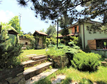 Bergshus Sammanflätade Med Naturen På Uludag Vägen I Bursa