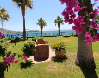 Villa Frente Al Mar Con Playa Privada En Bodrum Turquía