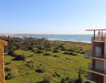 Sea-view Apartment Near the Beach in Punta Prima Alicante