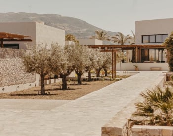 Villa Offering Expansive Cultivable Land in Yecla Murcia 1
