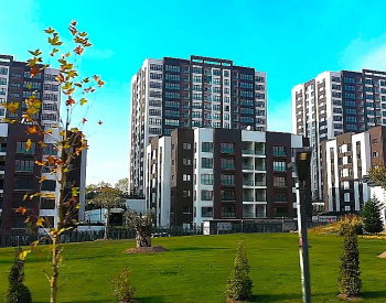 Apartments with Swimming Pools in Beylikdüzü İstanbul